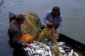 Romania. Pescatori a Sfintu Gheorghe, nel delta del Danubio.De Agostini Picture Library /G.SioÃ«n