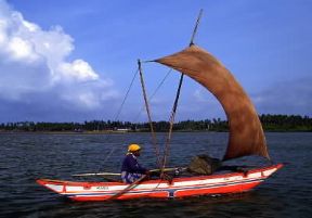 Sri Lanka . Pescatore nella laguna di Negombo.De Agostini Picture Library/C. Rives