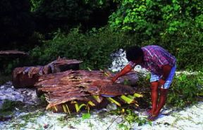 Maldive. Pesce lasciato essiccare al sole. La pesca rimane una delle attivitÃ  di primaria importanza per l'economia del Paese.De Agostini Picture Library/C. Rives