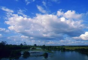 Cambogia. Paesaggio nella zona di Angkor.De Agostini Picture Library/C. Sappa