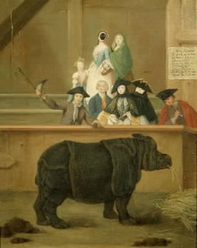 Pietro Falca, detto Longhi. Mostra del rinoceronte (Venezia, Museo di Ca' Rezzonico).De Agostini Picture Library/A. Dagli Orti