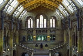 Londra. L'interno del Natural History Museum.De Agostini Picture Library/W. Buss