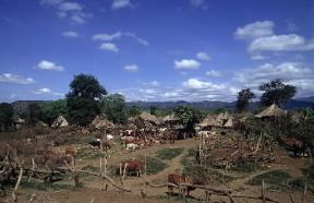 Rift Valley. Scorcio di un villaggio del gruppo etnico Gidole lungo la depressione del Rift Valley.De Agostini Picture Library/C. Sappa