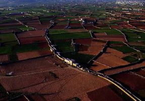 Malta. Veduta aerea di campi coltivati nell'isola di Malta; l'agricoltura rappresenta ancora una fonte importante per l'economia del Paese.De Agostini Picture Library/G. SioÃ«n