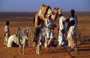 Sudan. Una parte della popolazione sudanese Ã¨ costituita da allevatori che compiono migrazioni stagionali.De Agostini Picture Library/C. Sappa