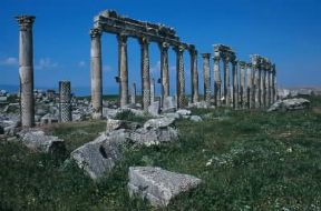 Apamea. Resti del colonnato di una chiesa cristiana.De Agostini Picture Library/G. Dagli Orti