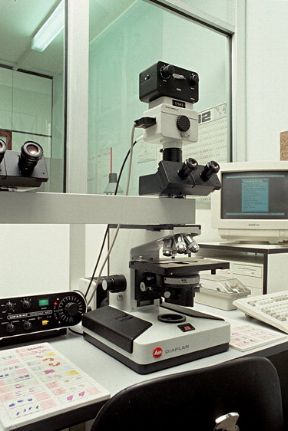 Il microscopio ha contribuito ai progressi della medicina. Miscroscopio. L'invenzione del microscopio, strumento per l'osservazione di oggetti molto piccoli di cui fornisce un'immagine ingrandita, ha contribuito notevolmente al progredire della scienza medica. 