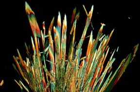 L'acido folico al microscopio. Farmacologia. L'acido folico, presente nella verdura fresca, nelle frutta, nei lieviti e nel fegato, interviene come coenzima in un gran numero di processi metabolici. La sua principale funzione è quella di favorire la sintesi degli acidi nucleici, delle proteine e la riproduzione cellulare. Per questo è spesso consigliato come integratore alimentare per le donne in gravidanza.