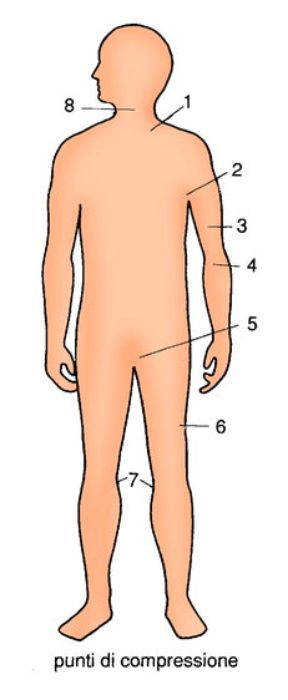I principali punti di compressione arteriosa. La compressione arteriosa. I principali punti di compressione arteriosa.