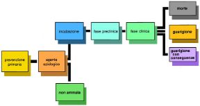 Malattie che provocano la morte. Malattie infettive. In Italia, nel corso degli anni, si è assistito al passaggio da una situazione in cui la principale causa di morte era costituita dalle malattie infettive a una in cui il primato è posseduto dalle malattie croniche e degenerative.
