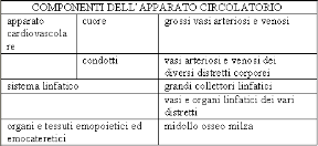 Descrizione dell'apparato circolatorio. Apparato circolatorio. È composto dall'apparato cardiocircolatorio, dal sistema linfatico e dagli organi e tessuti emopoietici ed emocateretici.