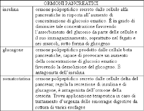 Descrizione del pancreas. Ormoni pancreatici. Il pancreas è un'importante ghiandola che produce ormoni quali l'insulina, il glucagone e la somatostatina.