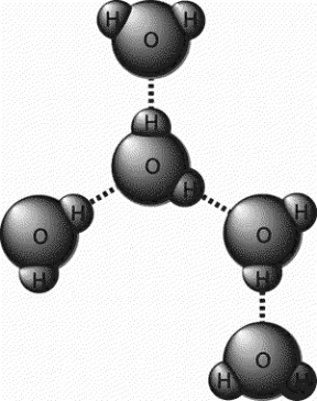 Figura 1.2 Formazione dei legami
a idrogeno tra
le molecole di acqua
a struttura dipolare.