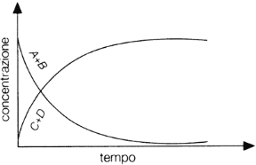 Figura 12.1 Variazione delle concentrazioni dei reagenti A + B e dei prodotti C + D nel corso di una reazione chimica.