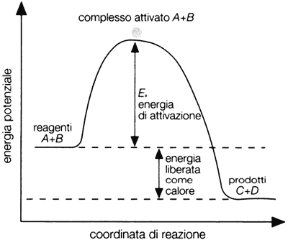 Figura 12.2 DIAGRAMMA DI VARIAZIONE DELL'ENERGIA POTENZIALE Per una generica reazione esotermica A+B → C+D, la differenza tra l'energia del complesso attivato A+B e quello dei reagenti iniziati A+B rappresenta l'energia di attivazione.
