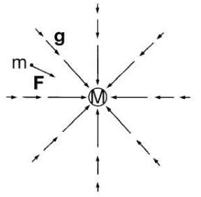 Figura 6.3 Le linee di forza del campo gravitazionale esercitato dalla Terra sono i raggi entranti nella sorgente. Una massa m risente della forza F = mg.