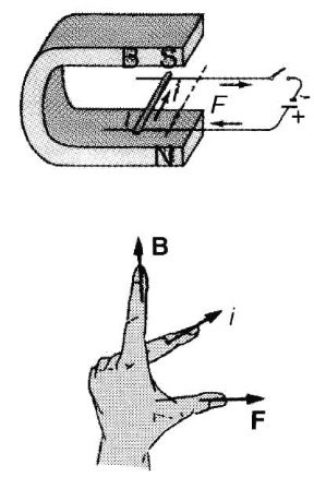 Figura 18.5 La forza che agisce su un conduttore rettilineo (vale la regola della mano sinistra).