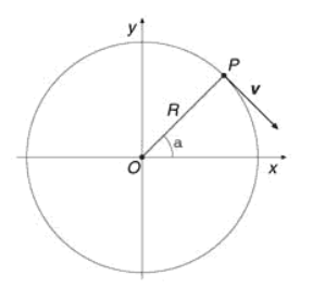 Figura 4.1 Il vettore velocità nel moto circolare uniforme. Il punto P si muove sulla circonferenza con velocità costante, nel senso delle lancette dell'orologio.