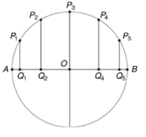 Figura 4.5 Il punto P percorre archi di circonferenza uguali in tempi t uguali; nei medesimi istanti t, Q percorre segmenti di diametro sempre diversi.