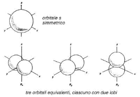 Figura 24.2 Orbitali di tipo s (A) e di tipo p (B), con le relative orientazioni spaziali.