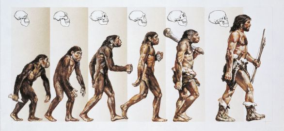 Un disegno della probabile evoluzione fisica degli ominidi La paleoantropologia è una disciplina basata sullo studio dei reperti fossili che interessano l'evoluzione umana. Questa scienza nacque alla fine del XVIII secolo, in seguito all'affermarsi della paleontologia.