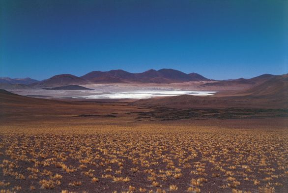 Cile, lago salato nel deserto di Atacama Il deserto di Atacama è una regione desertica del Cile settentrionale, costituita da una serie di bacini depressi colmati da materiali detritici od occupati da depositi salini, è caratterizzata da un clima di tipo subdesertico.