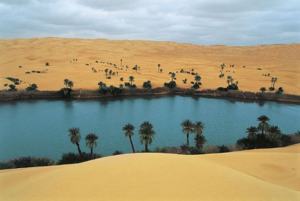 Libia, il lago Um El Ma nel deserto Libico Il deserto Libico è una vasta regione desertica della Libia, dell'Egitto e del Sudan. Costituisce la sezione nordorientale del Sahara ed è caratterizzato da un susseguirsi di dune sabbiose o ciottolose (Serir di Calanscio), di altopiani rocciosi e di profonde depressioni che scendono anche sotto il livello del mare (Qattâra, -134 m).