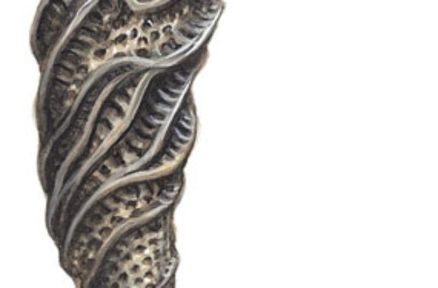 Euplectella-aspergillum