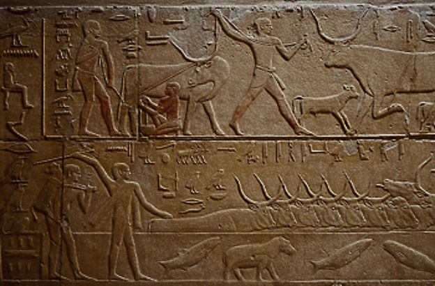 lavori-agricoli-egizi