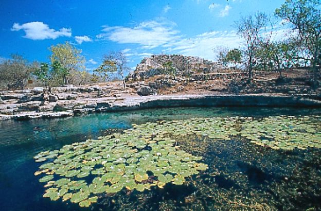 cenote-dzibilchaltun-yucatan