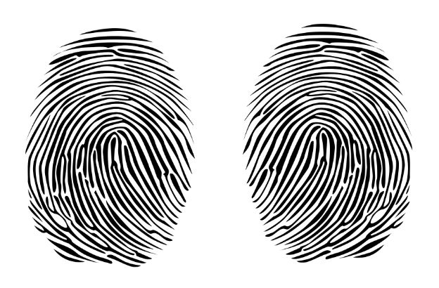 Fotolia_29580042_Subscription_XL0