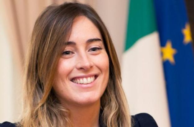 ddl-boschi