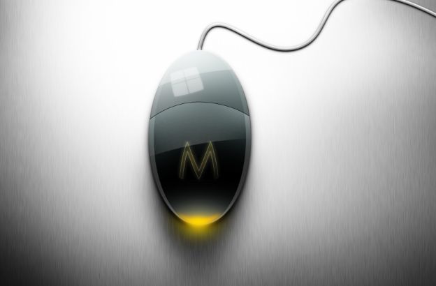 mouse