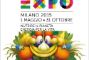 Expo-2015-Milano3