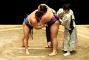 lottatori-sumo