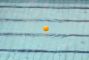 pallone-pallanuoto