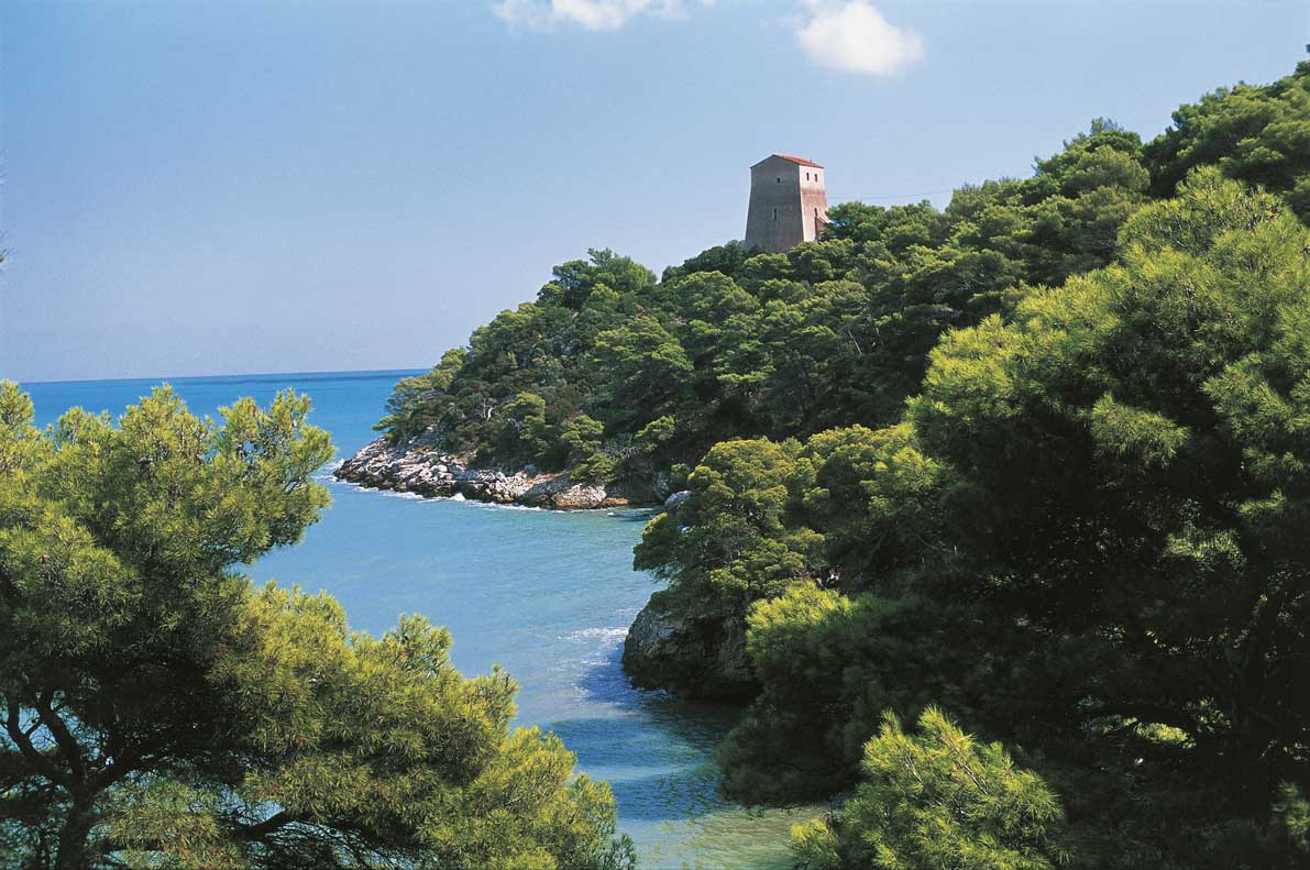 Parco nazionale del Gargano Parco Nazionale del Gargano, Puglia. Questa regione è una zona ricca per diversità biologica con il 70% della biodiversità per gli uccelli e il 45% per quella delle altre specie animali presenti in Italia
© De Agostini Picture Library.