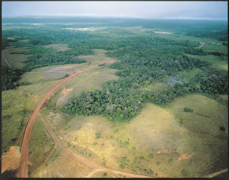 Deforestazione di Amapa Deforestazione nel distretto di Amapa (Brasile), per la creazione di terreno agricolo: la progressiva scomparsa di fauna e flora sono segnali inconfutabili della diminuzione della diversità biologica
© De Agostini Picture Library.