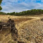 Ecocidio, il crimine contro l'ambiente: significato e storia