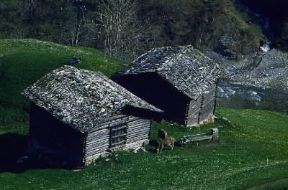 Alpi. Baite in Val Lumnezia (Svizzera) dove sono presenti minoranze di romanci.De Agostini Picture Library/A. Vergani