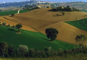 Marche. Paesaggio agrario nei dintorni di Corridonia, Macerata.De Agostini Picture Library/G. Berengo Gardin Marche. Paesaggio agrario nei dintorni di Corridonia, Macerata.De Agostini Picture Library/G. Berengo Gardin