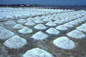 Sicilia . Saline nelle isole dello Stagnone.De Agostini Picture Library/M. Leigheb