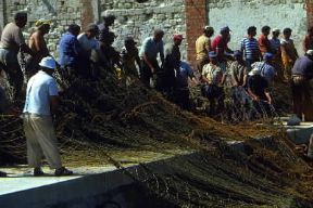 Sicilia . Pescatori dell'isola di Favignana impegnati nella mattanza.De Agostini Picture Library/M. Leigheb