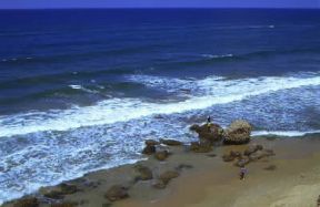 Israele . Un tratto di spiaggia presso Ashqelon.De Agostini Picture Library/C. Sappa